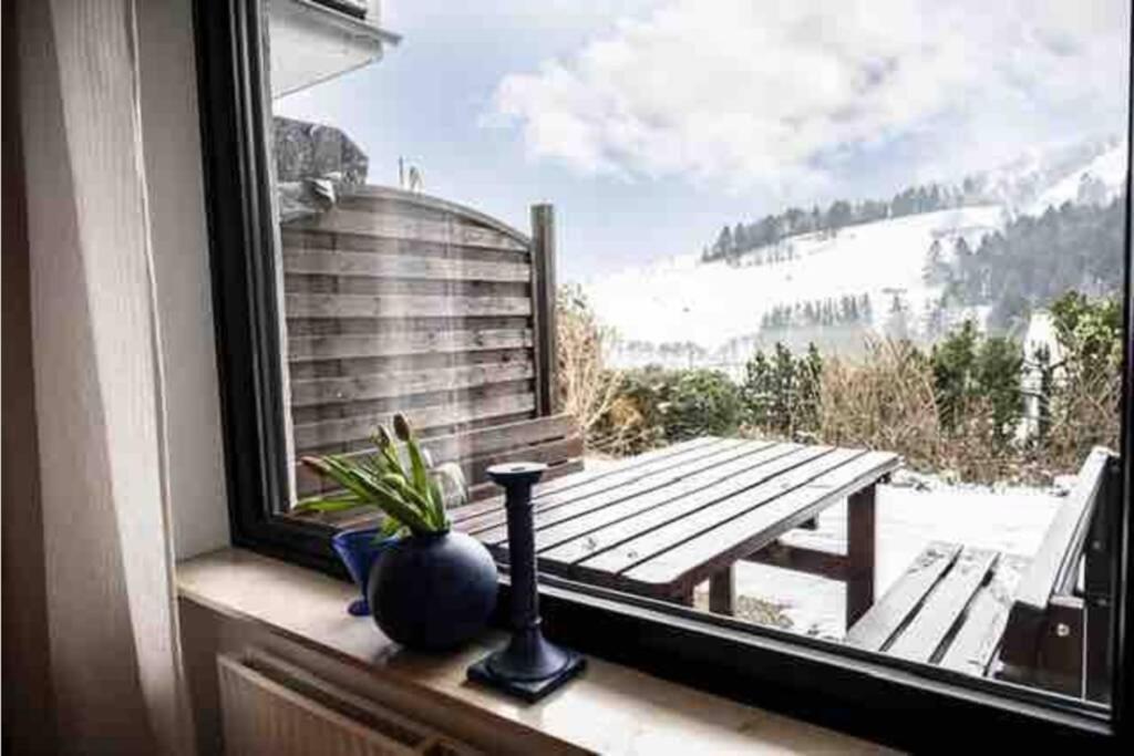 Feriehaus Maple Leaf Villa Willingen  Exterior photo